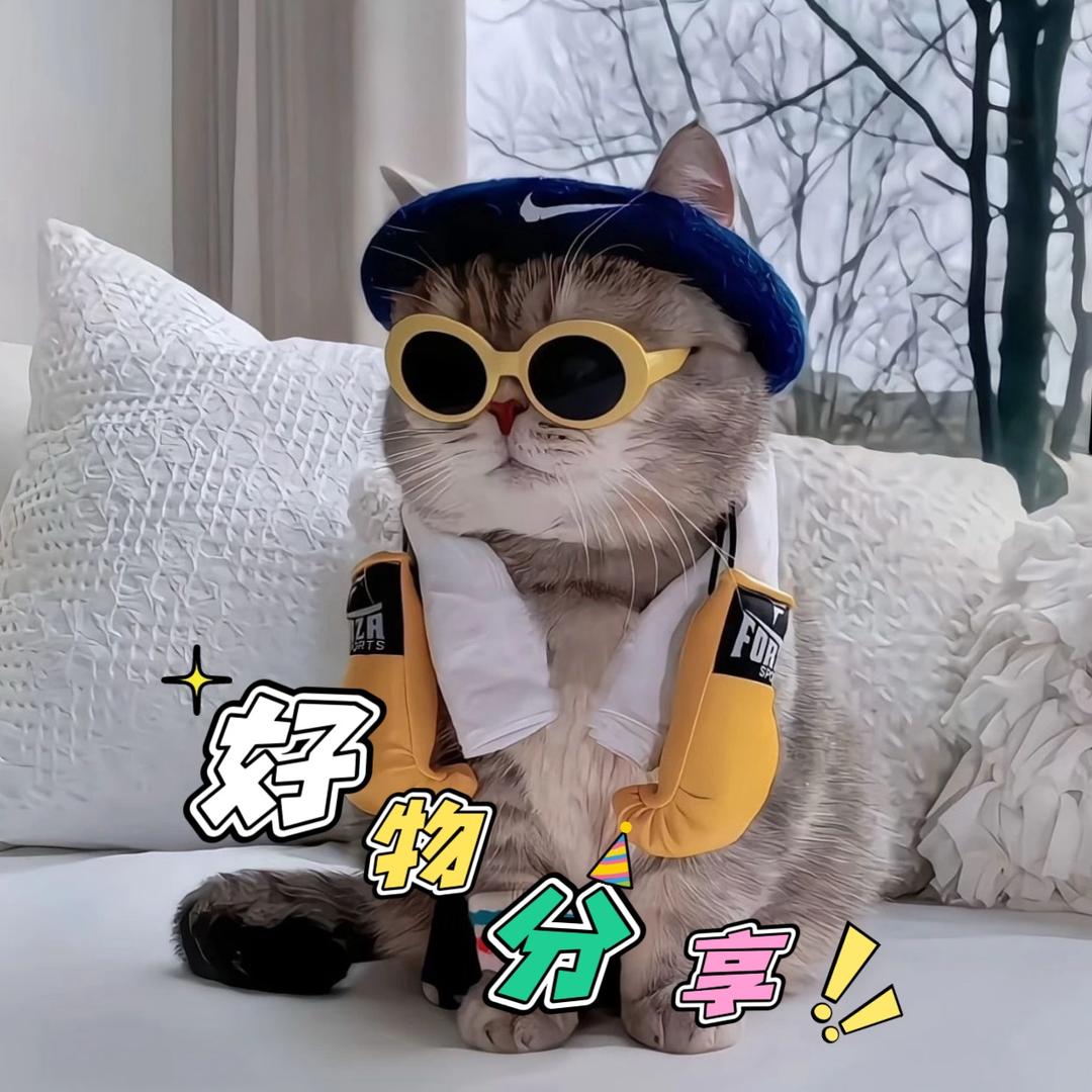 好物用心选