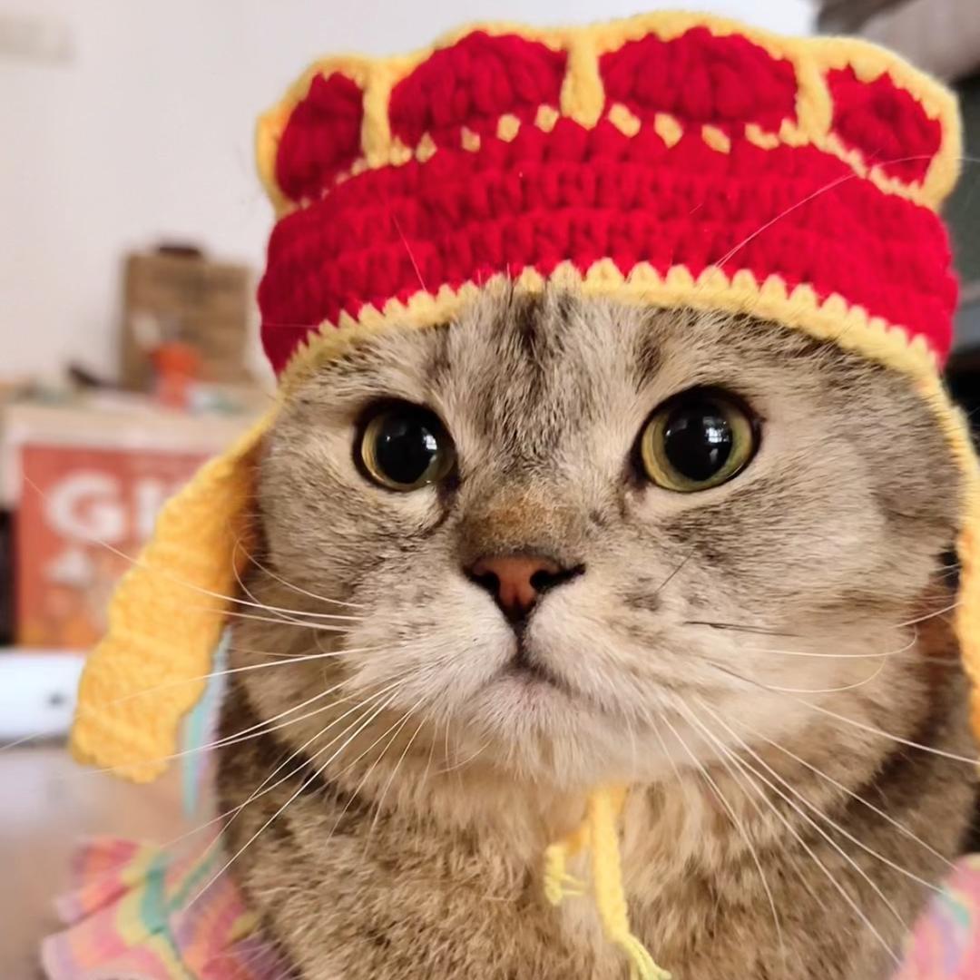 旺仔小汤圆😼