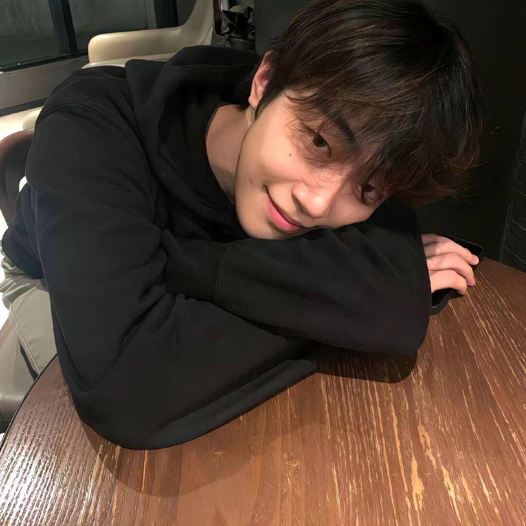 晨子茂.