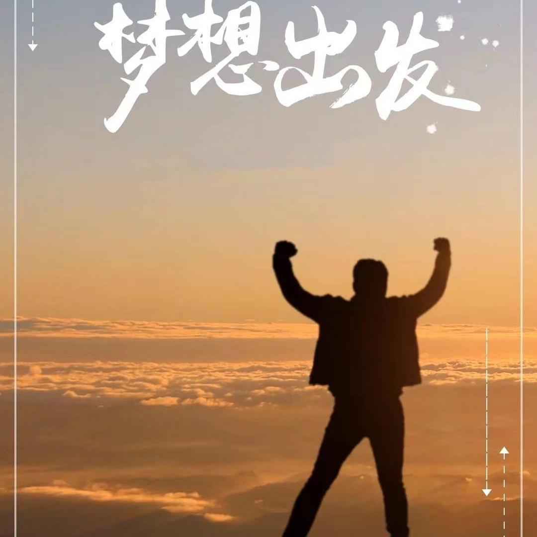 风里雾里