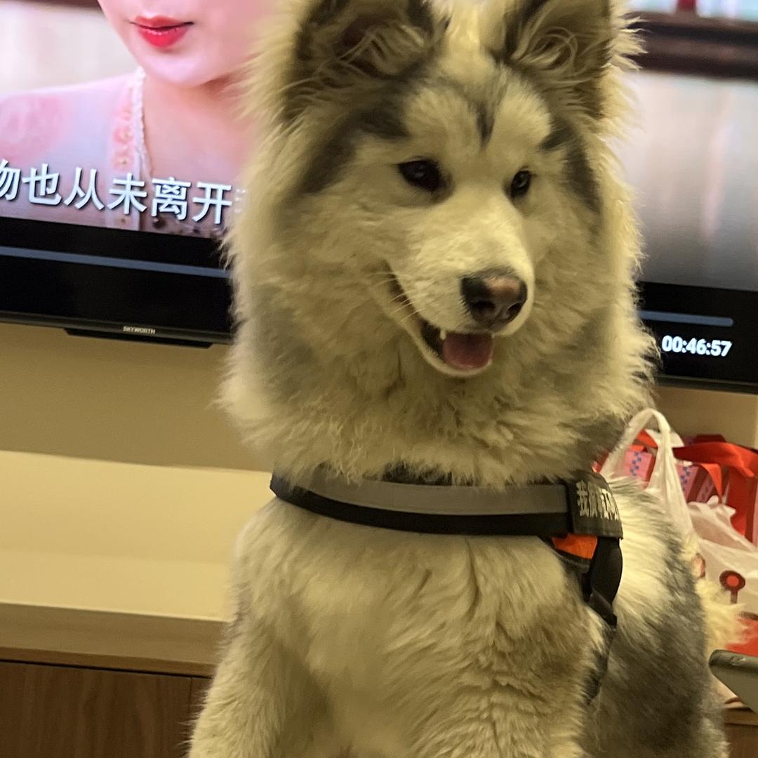 万事大吉不如虚惊一场