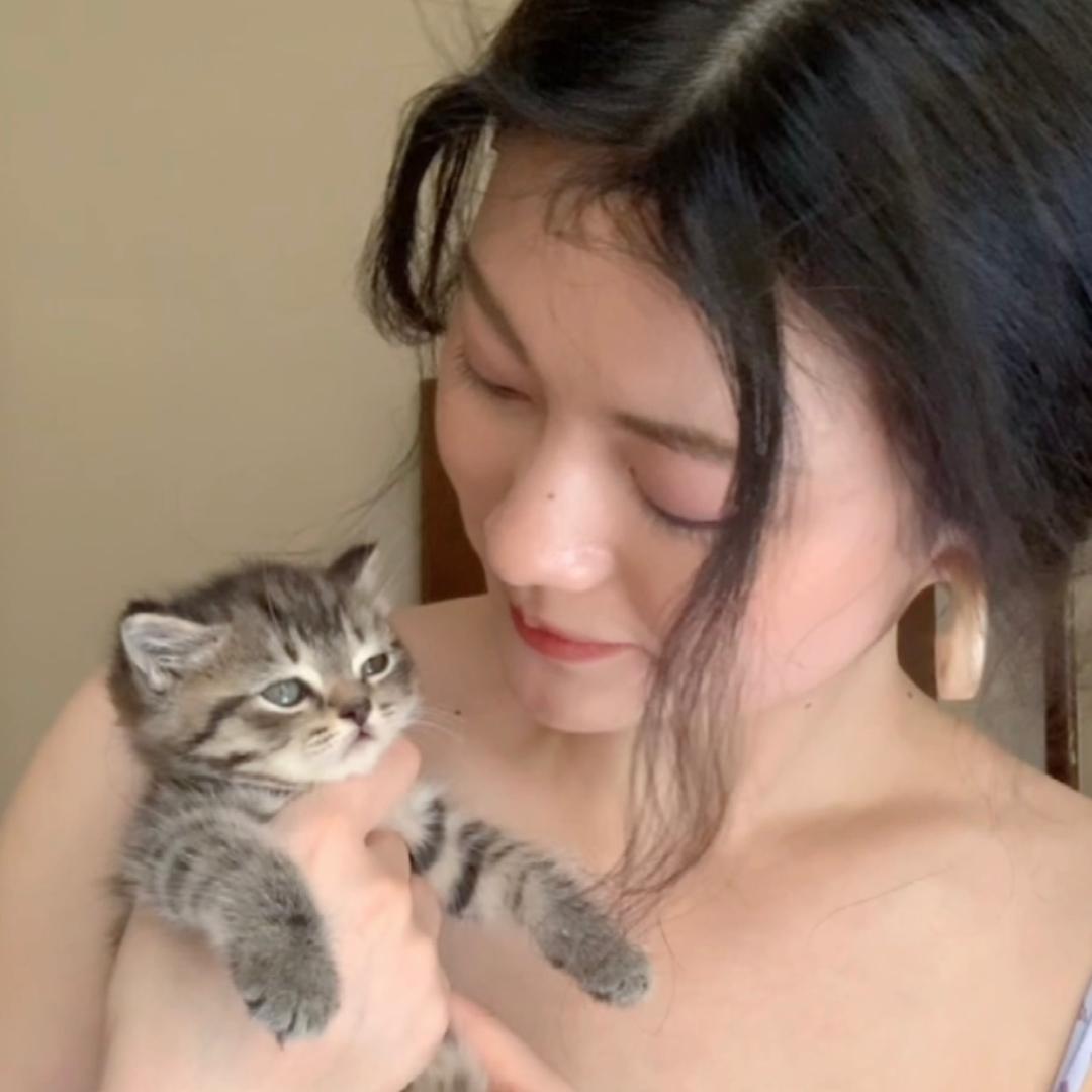 嗷呜呜有颗小虎牙