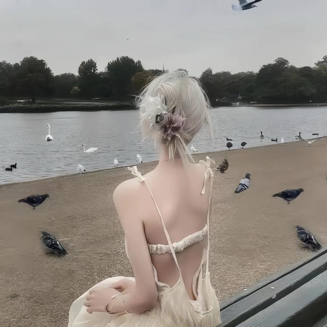 泡泡