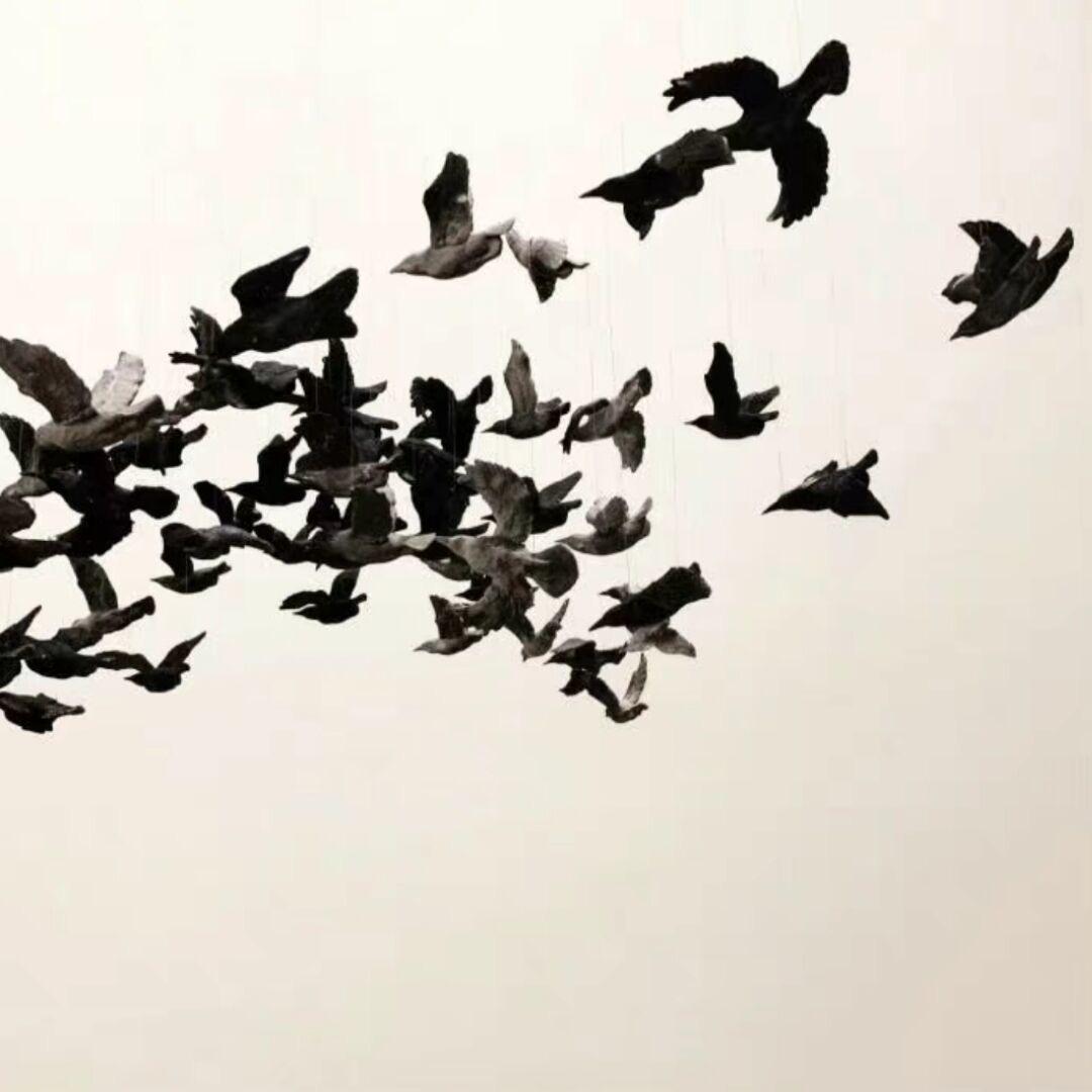 重生之我是贺欢