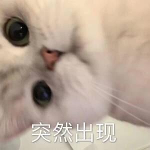 玥