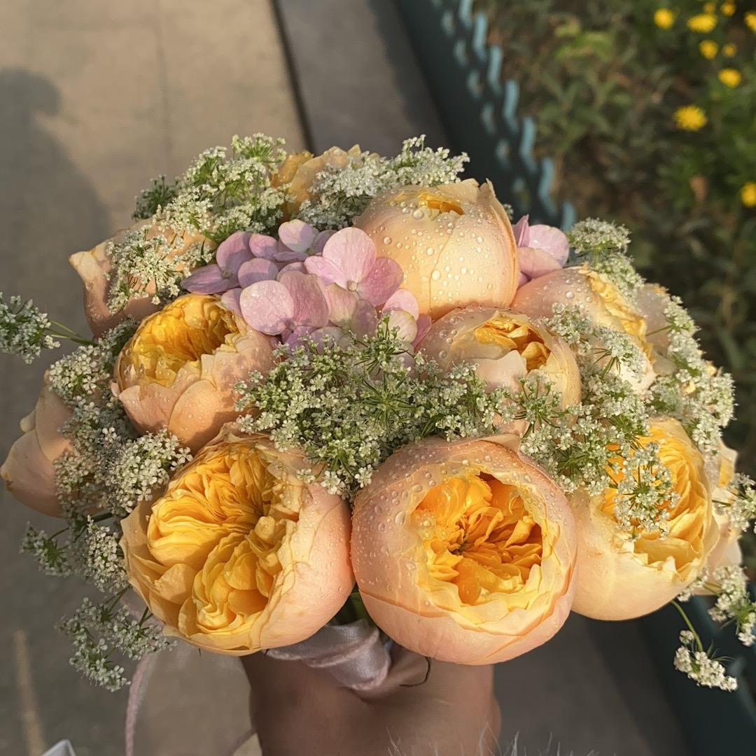 书阁的撸猫日记