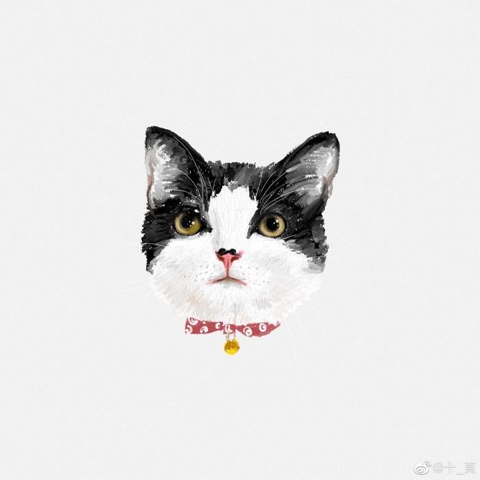 老尼法号靓女