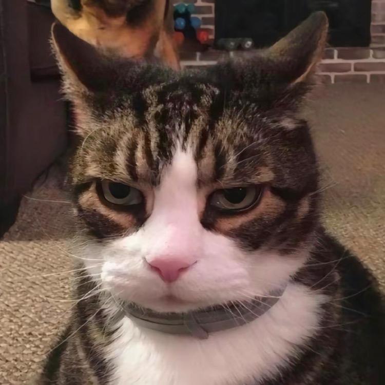 ▞▙▛▖▜▖▗▝▞▙▛▞▙▛