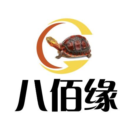 八佰缘淘龟乐园