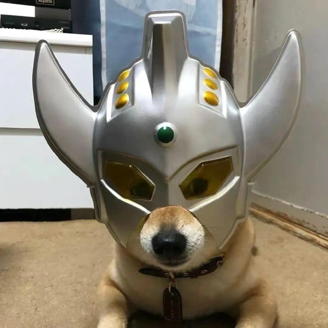 /.