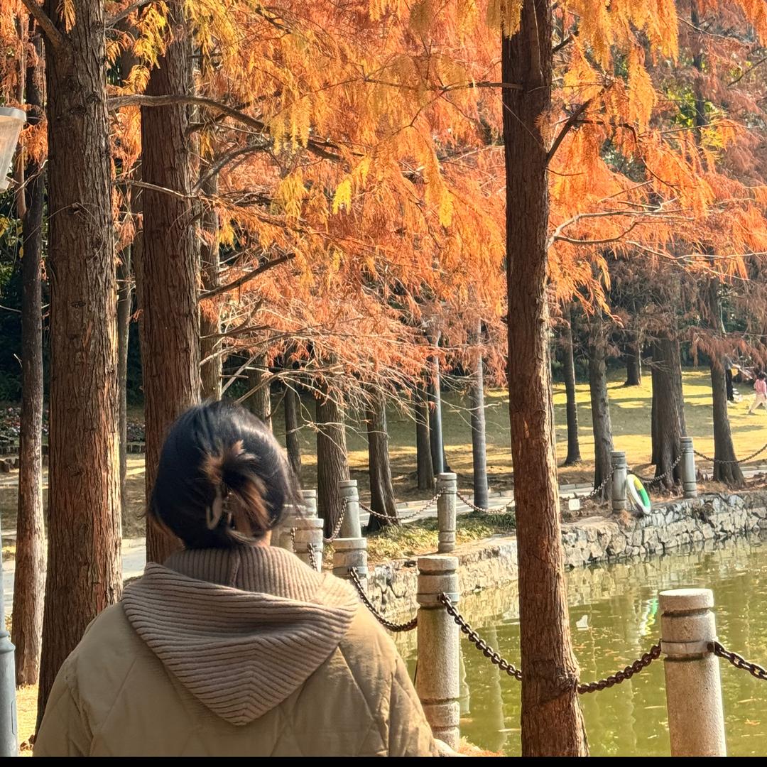 凌云白毫茶（高山春雨）