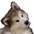 你好