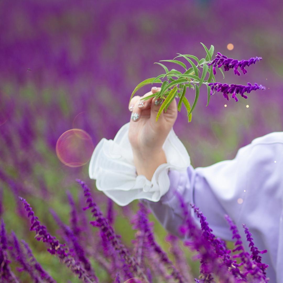 小H•Nail（穿戴甲接🥚中）