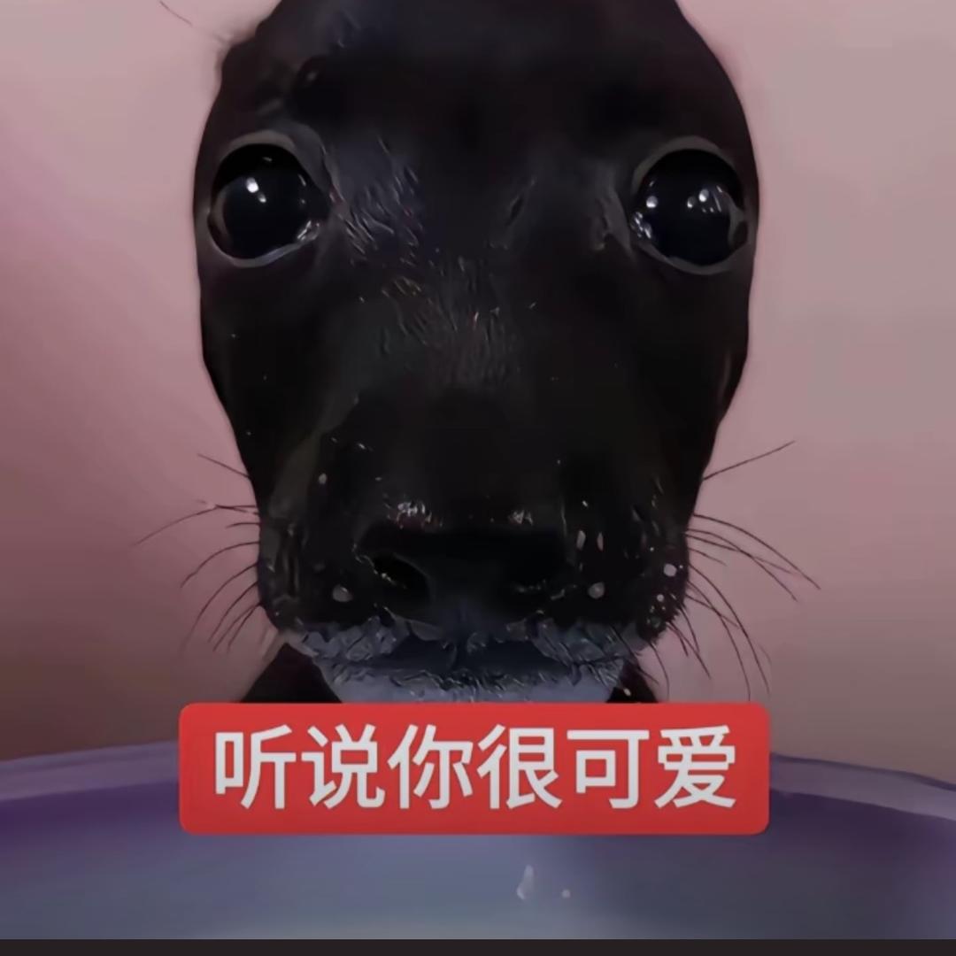 小妤bb