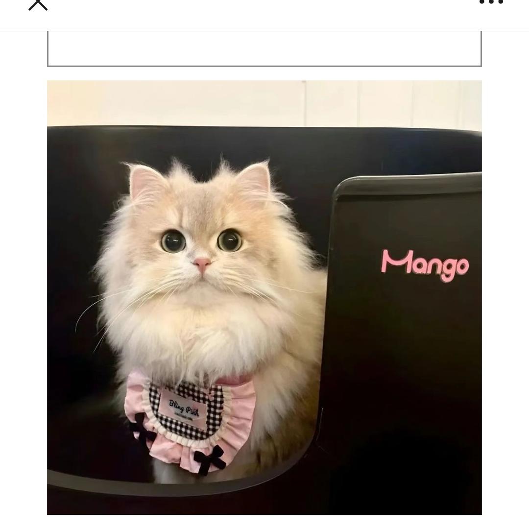 财神爷的心尖尖❤️