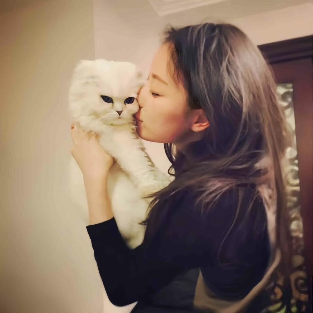 吃点薯条
