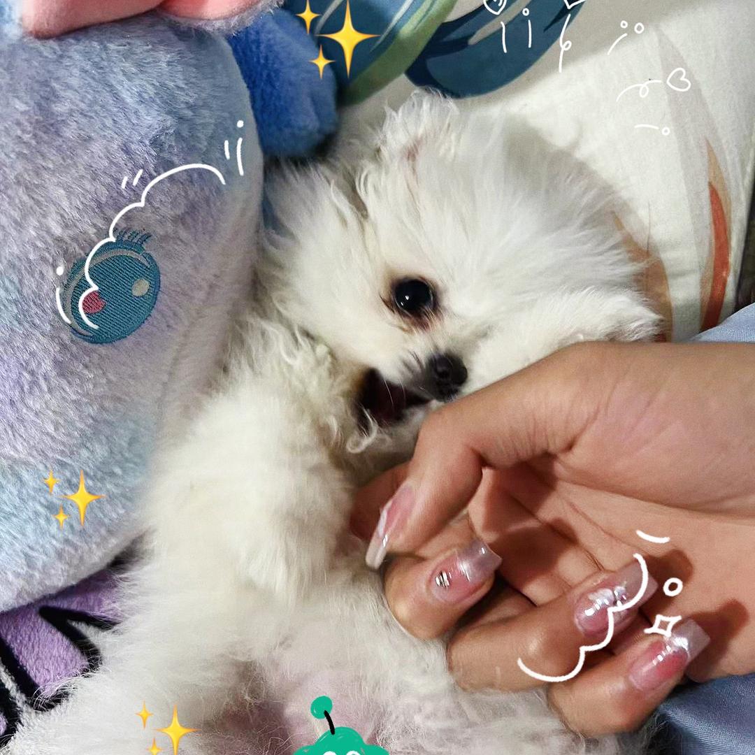 念念成长记