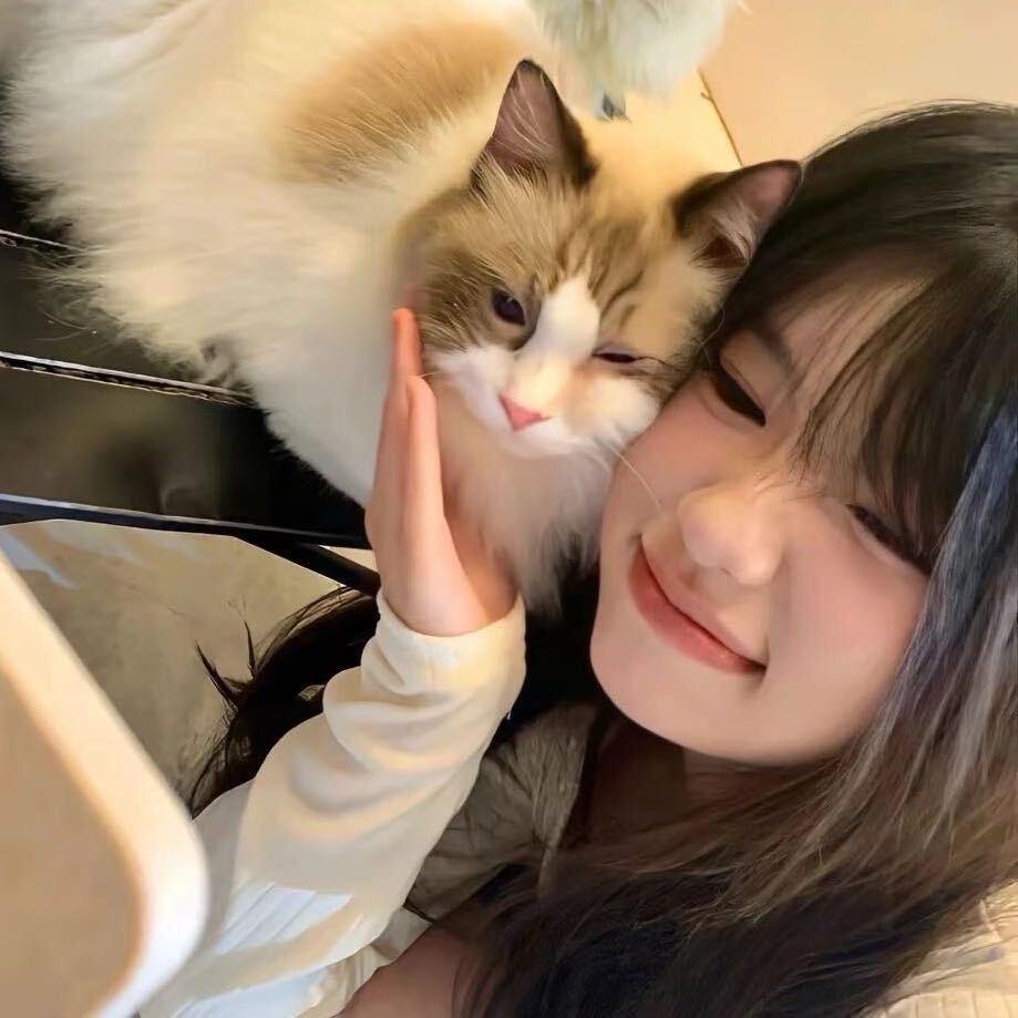 Kitty