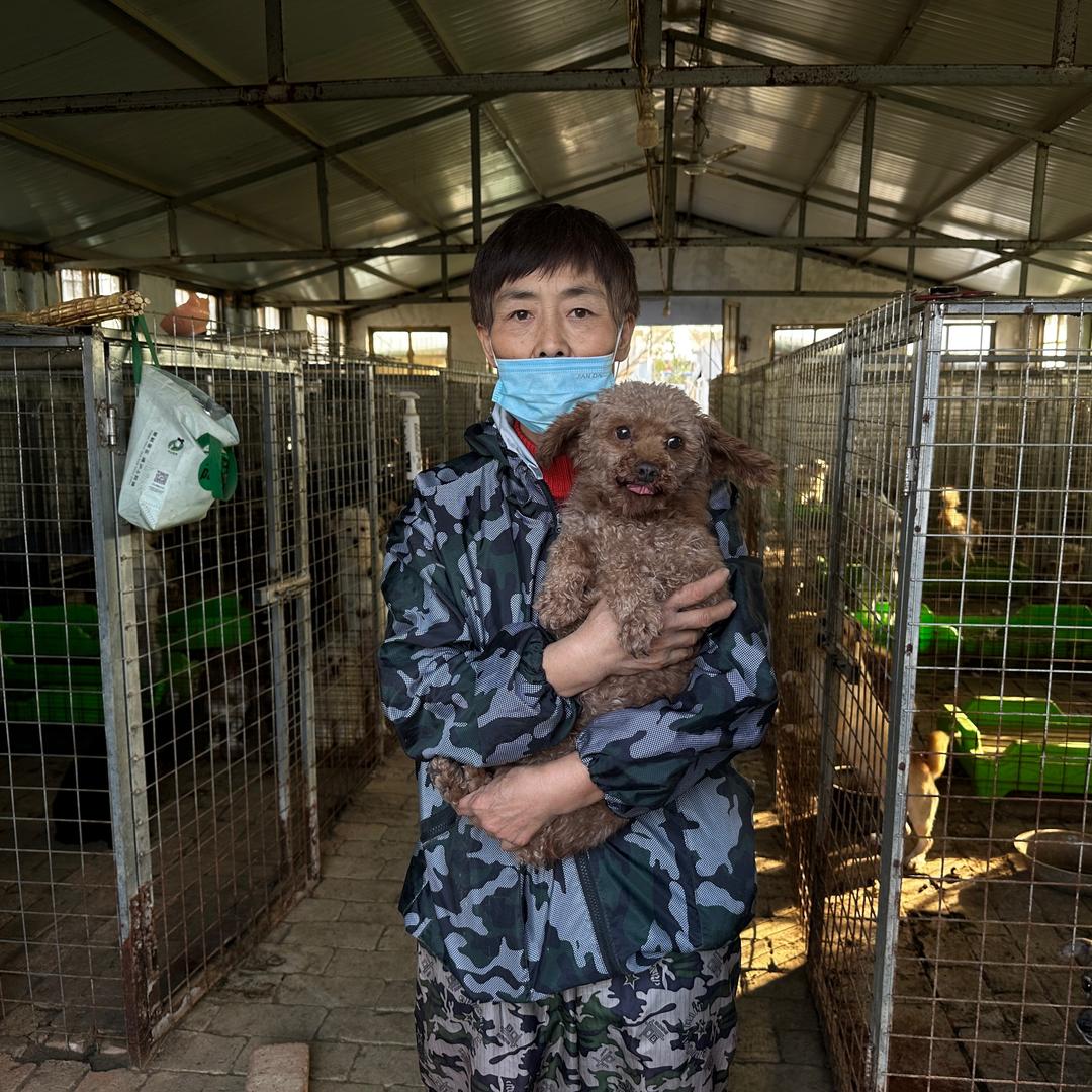 嘉祥辛姐流浪收容小院