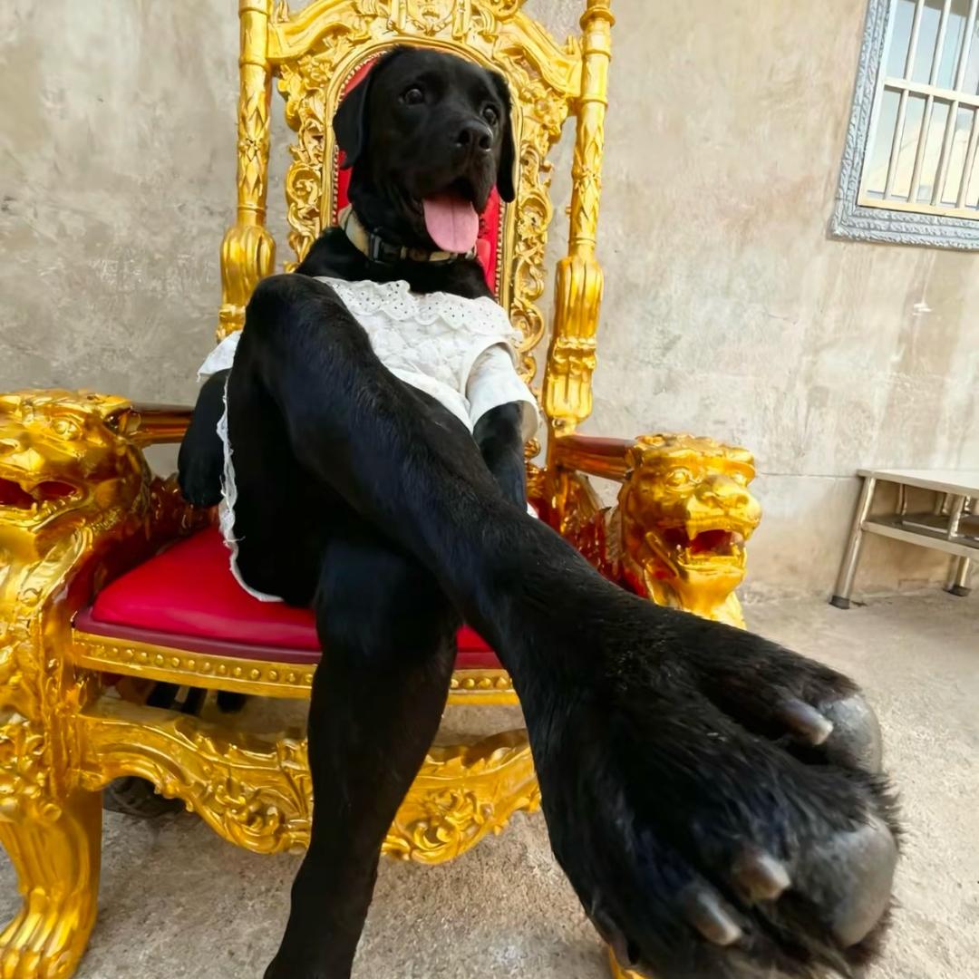 窄脸到底啥感觉