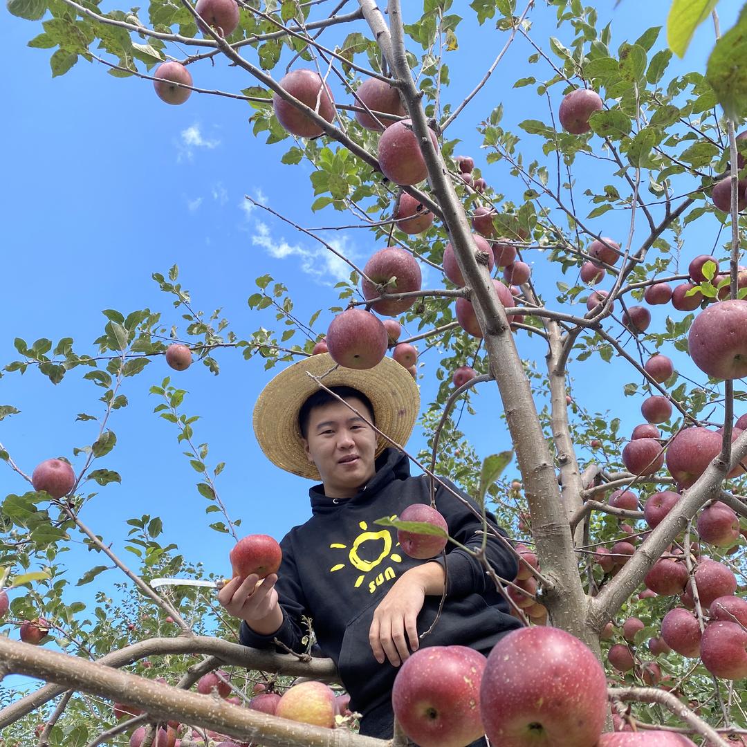 果太甜农业～石榴季