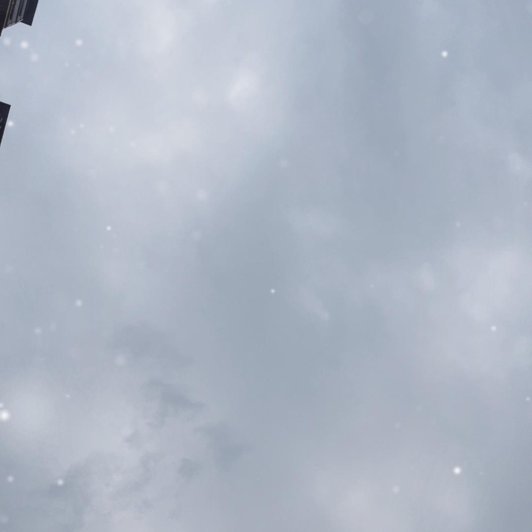 荣至网络技术严选铺