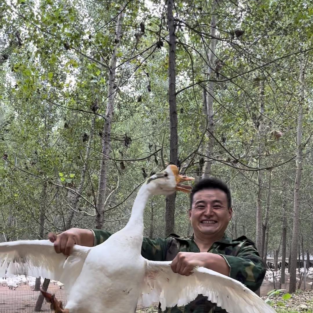 菏泽新农人赵攀