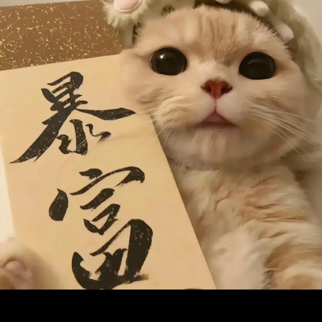 是77呀