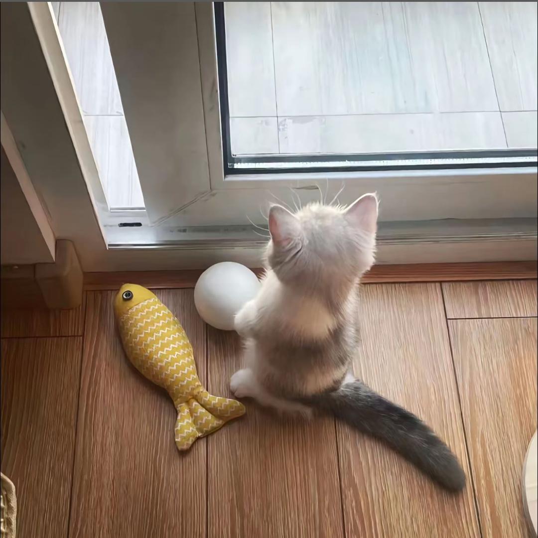 靘赩