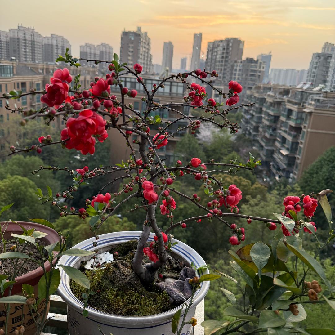 精品卡座，CD，功放，收录机