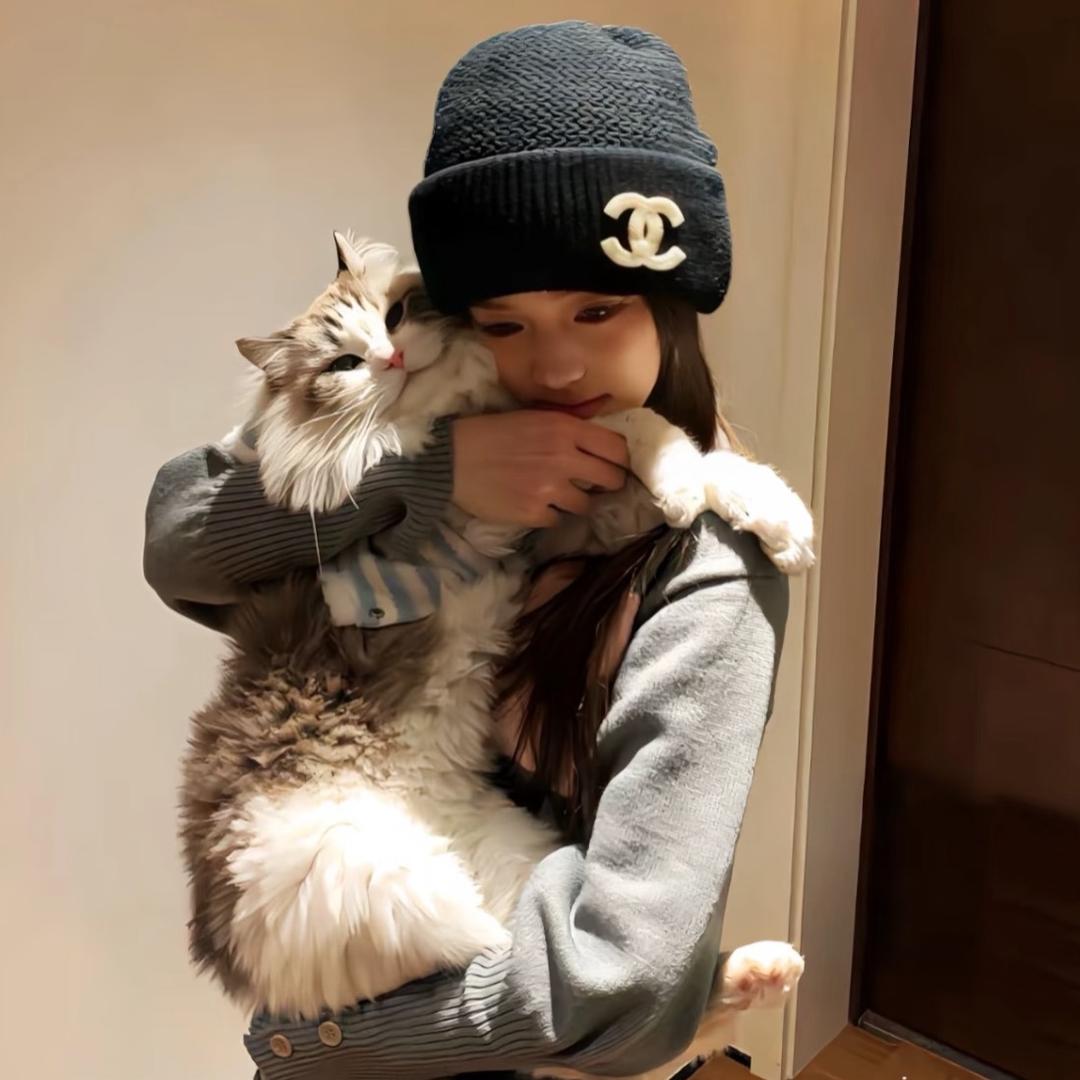 猫猫鱼