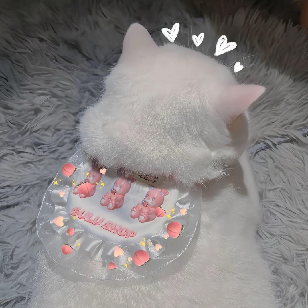大猫爱唱歌嗷