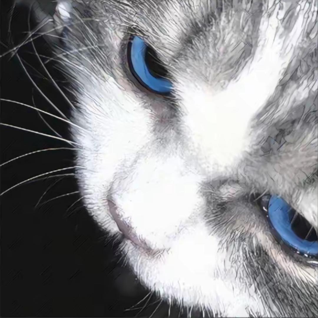 姚虹欣