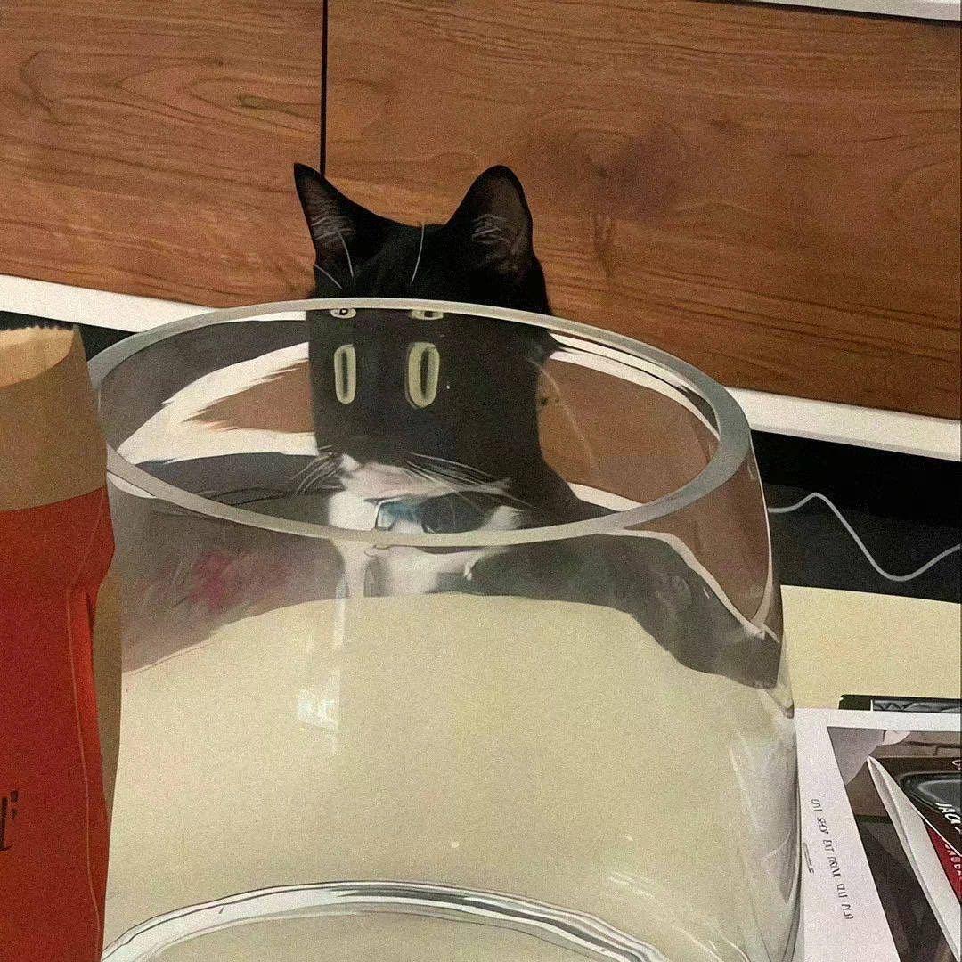 香辣鸭