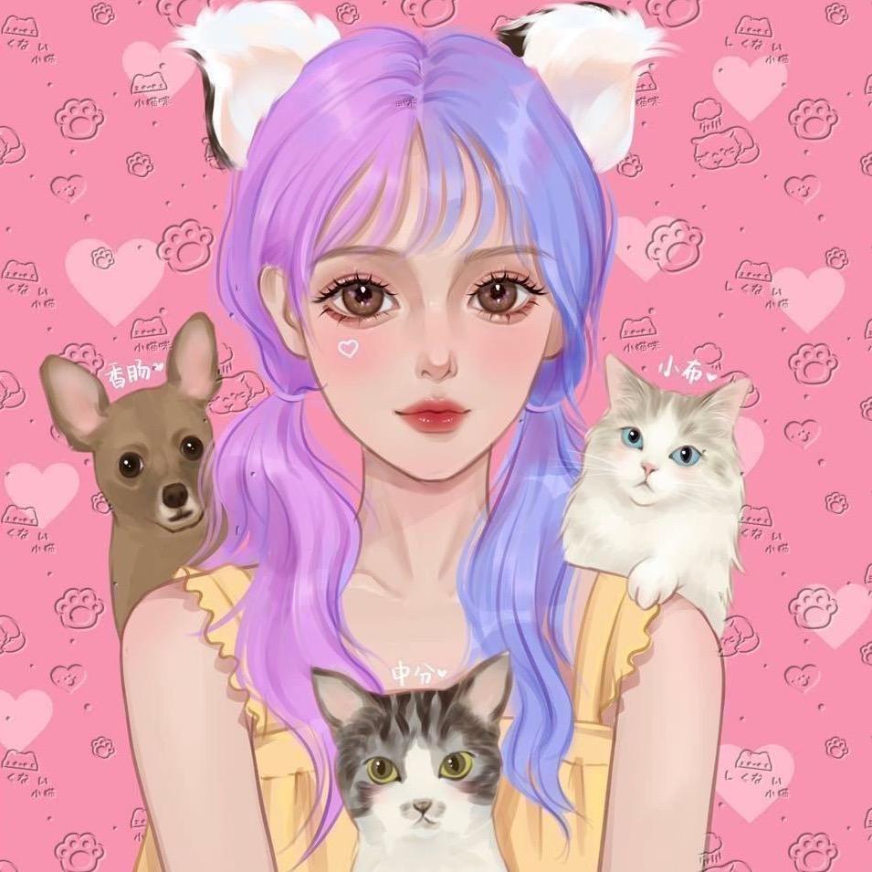 猫咪