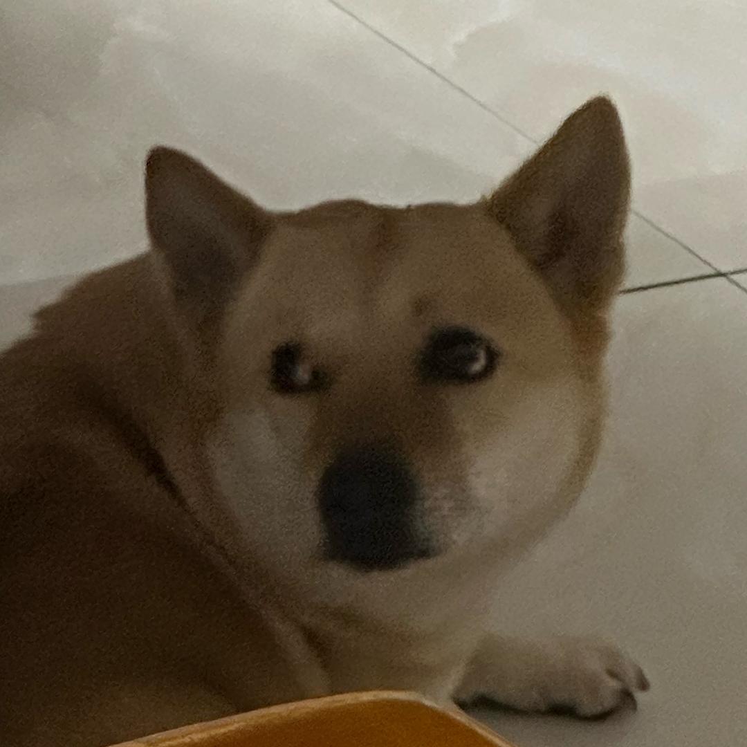 不会改id
