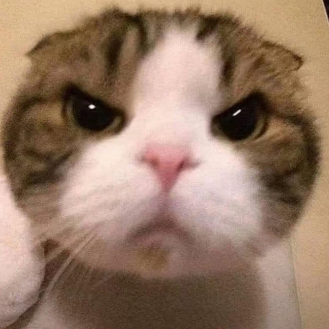 不开欣