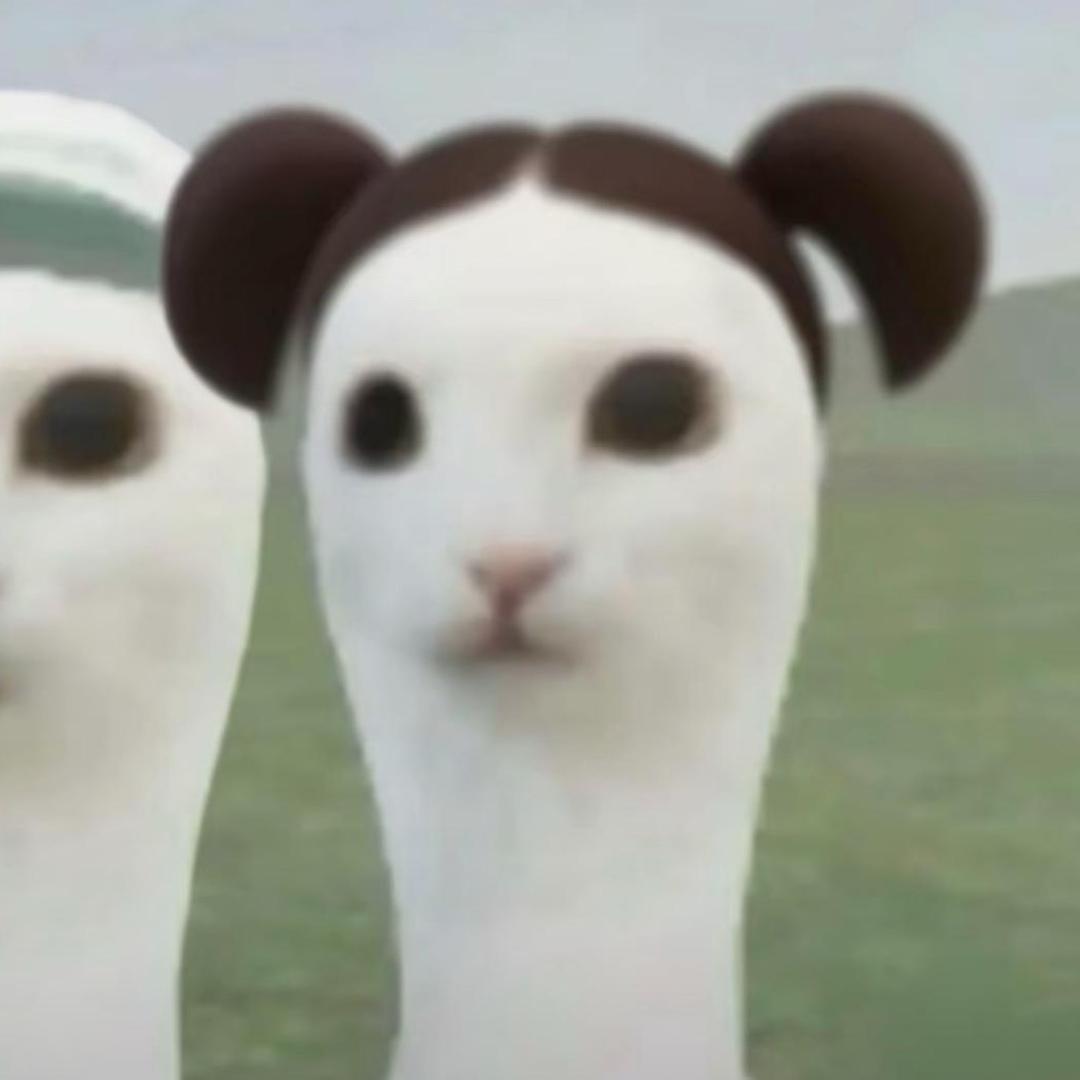 花生