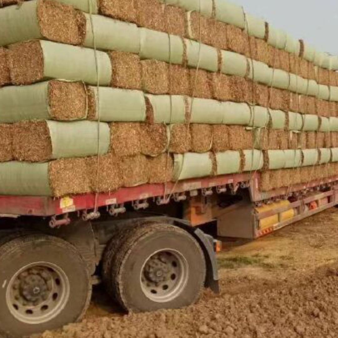 泰和县沙村天帮牧草发展中心