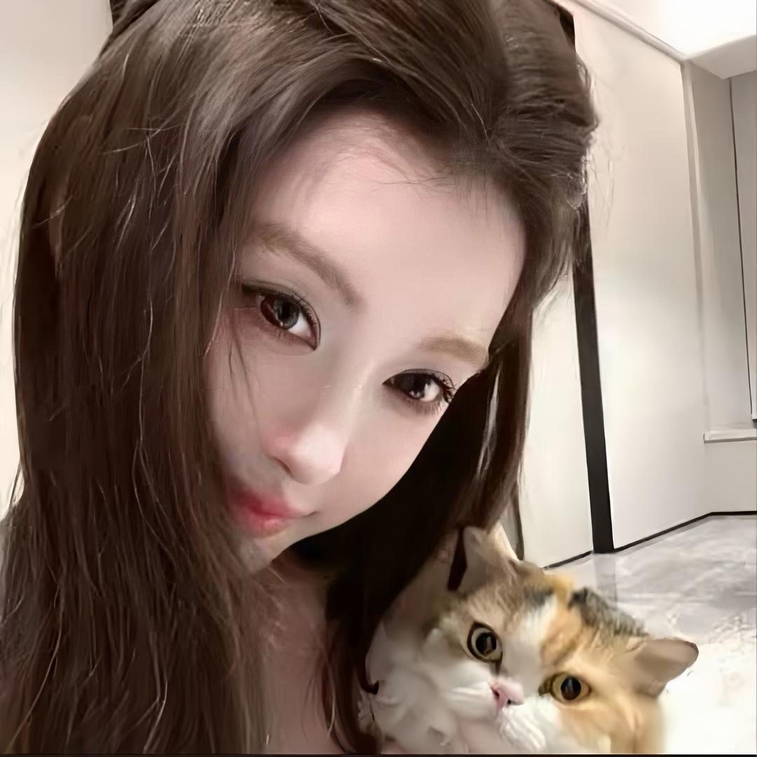 海鸥