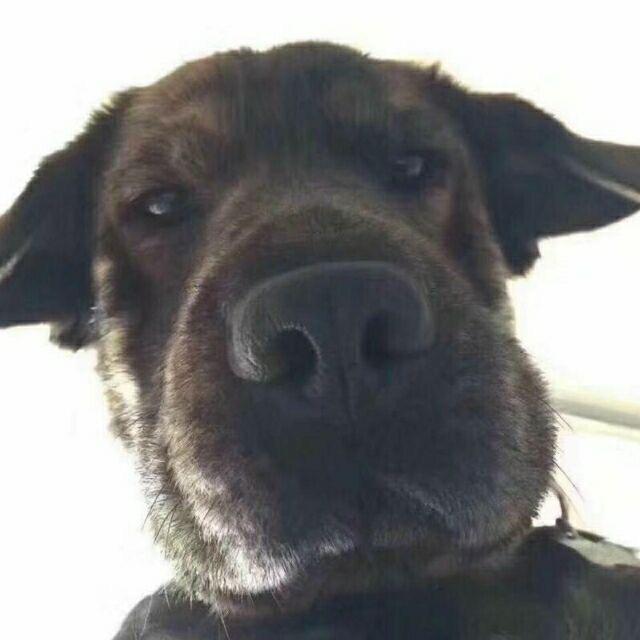 海口盛世粮仓商贸有限公司