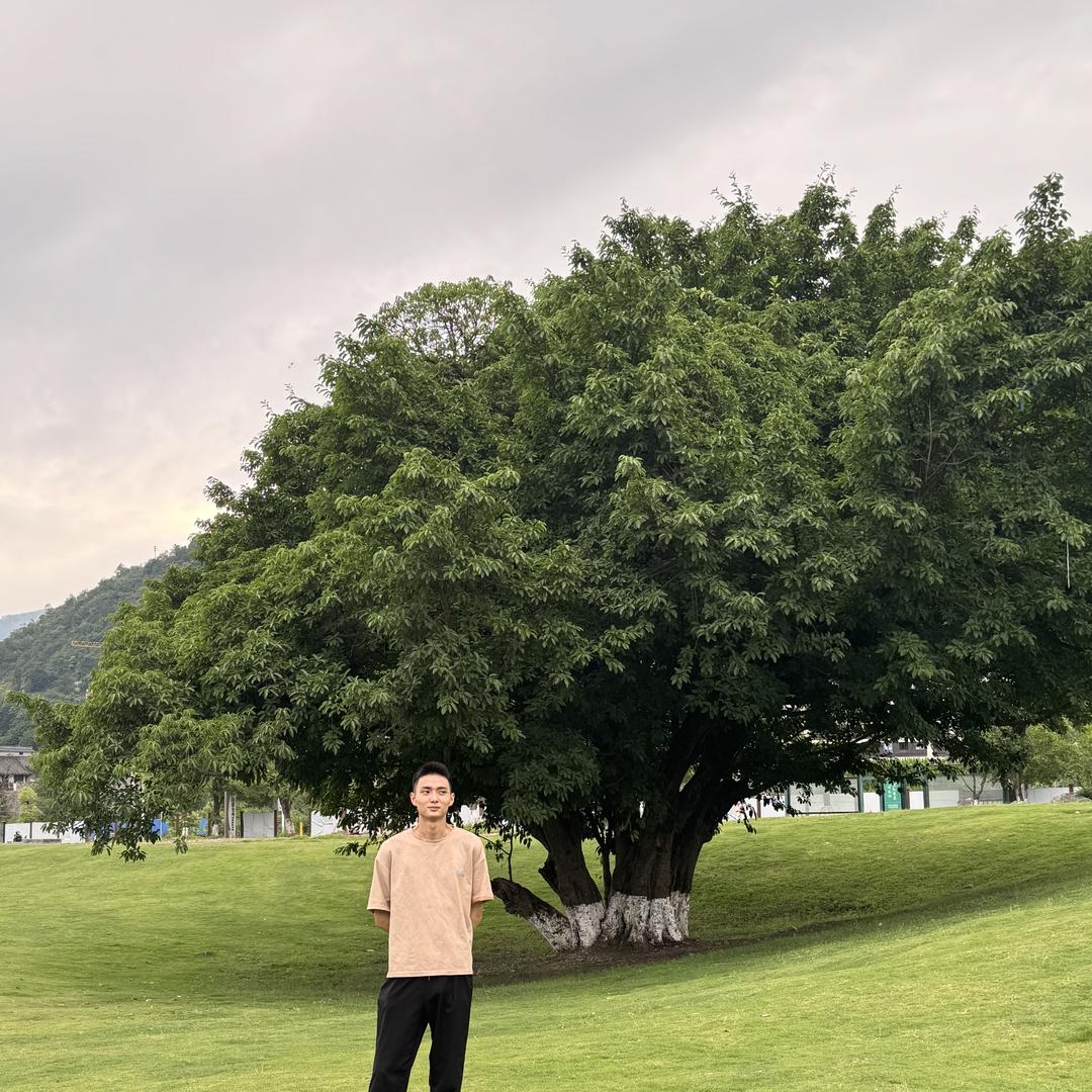 大军说车《安全顾问》