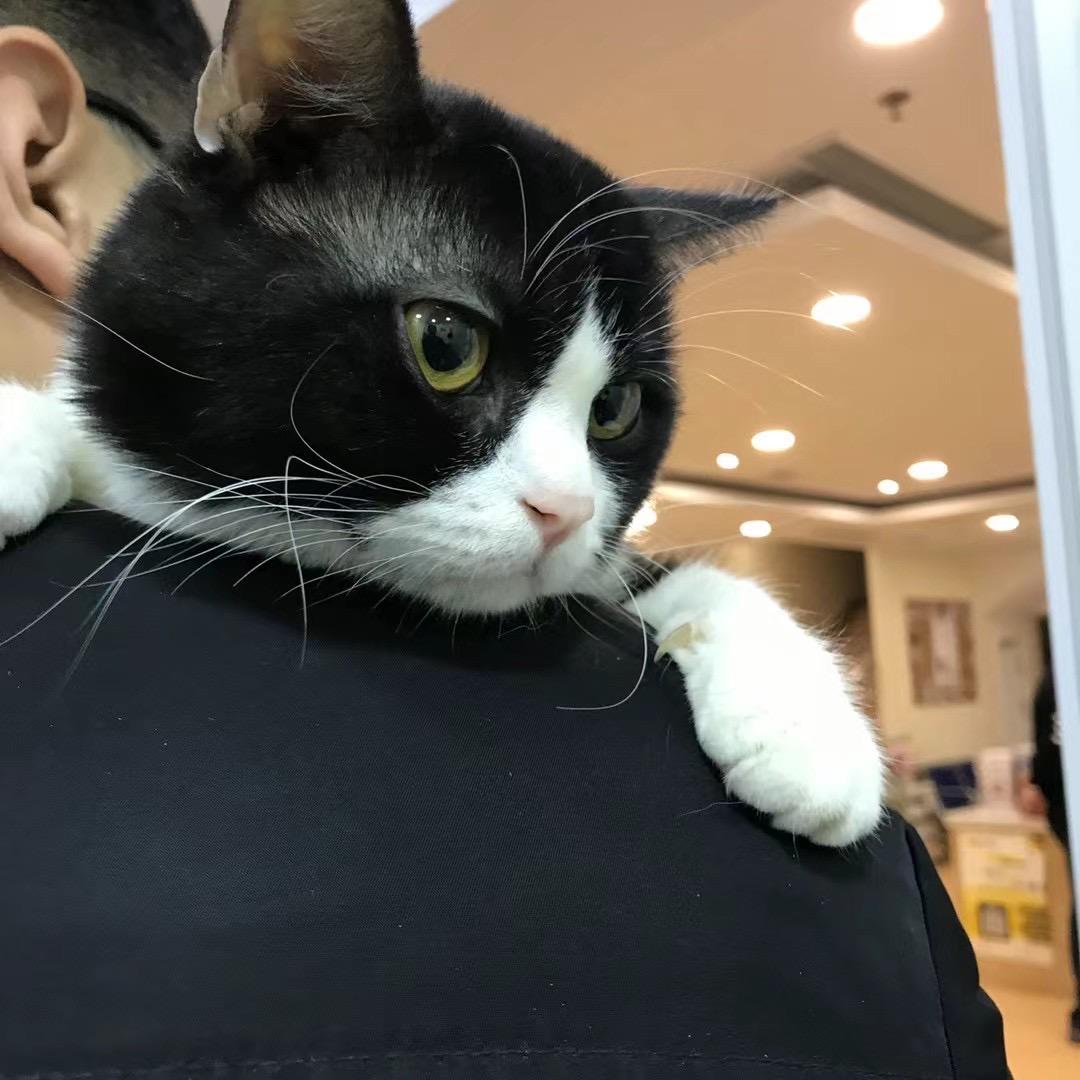 不吃白不吃