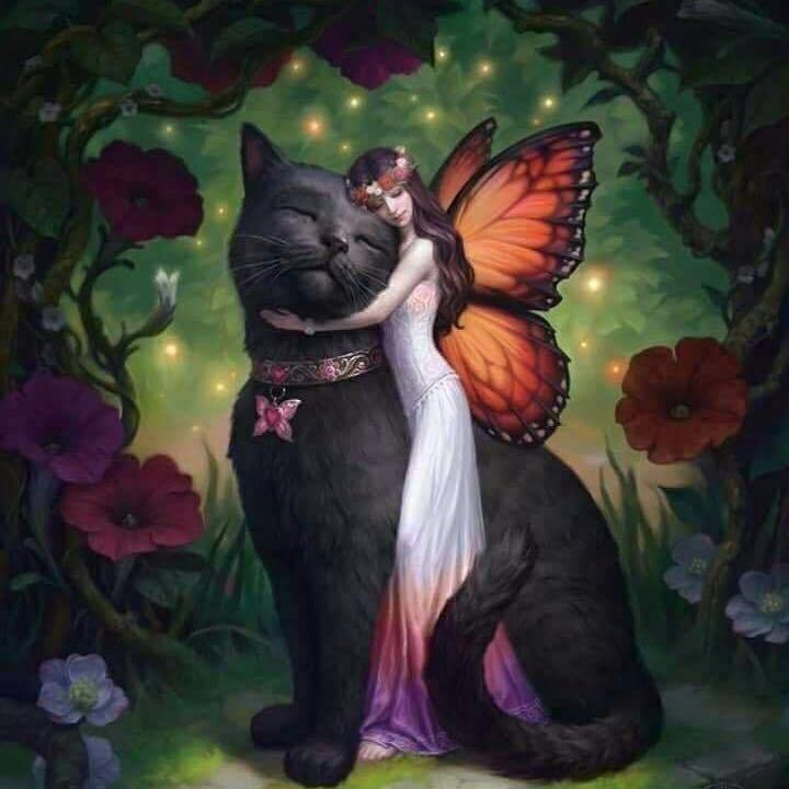 🪡逍遥猫公主陛下𝓪𝓴𝓲𝓭?