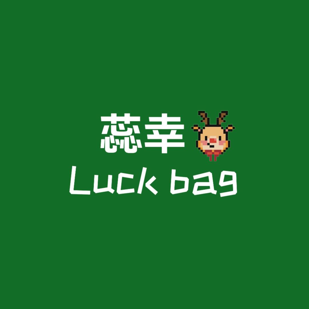 蕊幸定制女包