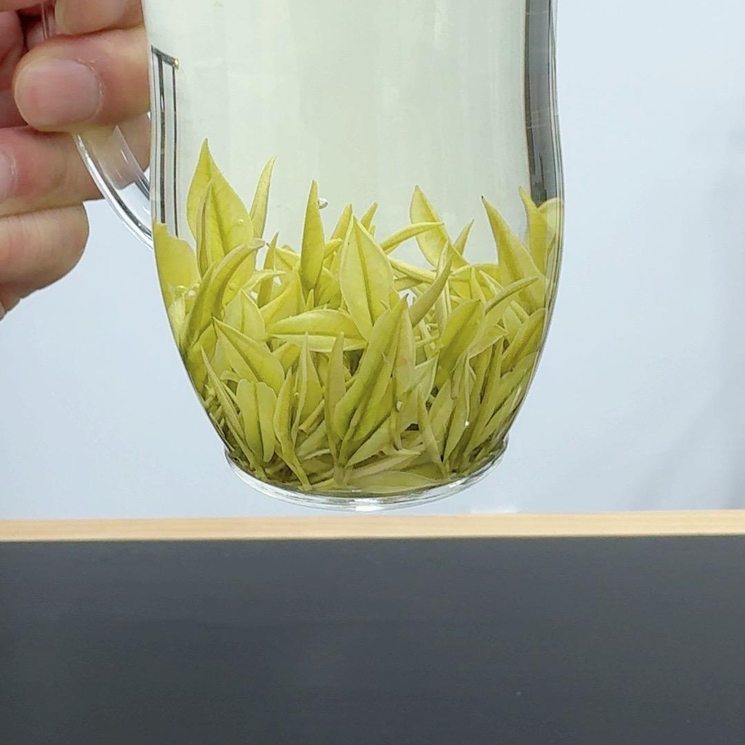 安吉微风茶场