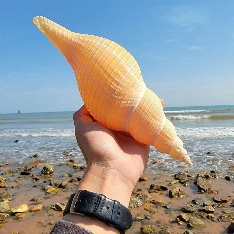 桃姐工艺