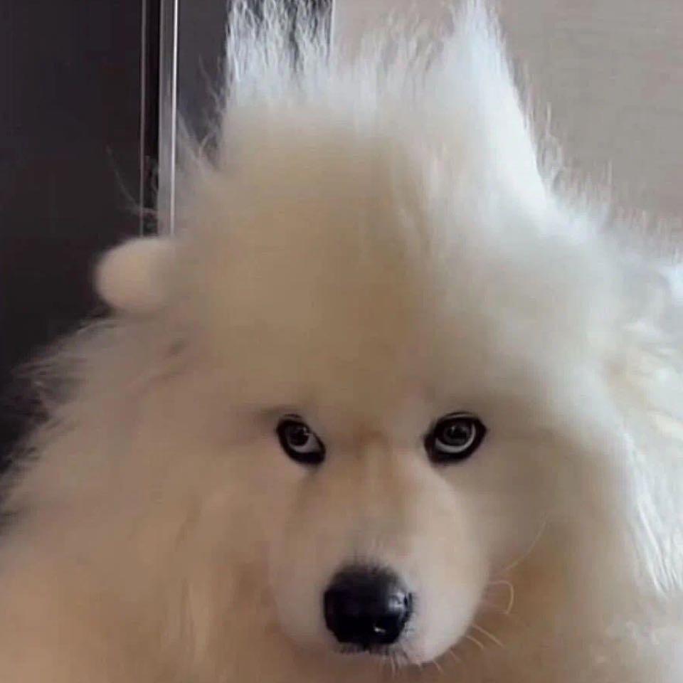 饺子今晚有空吗
