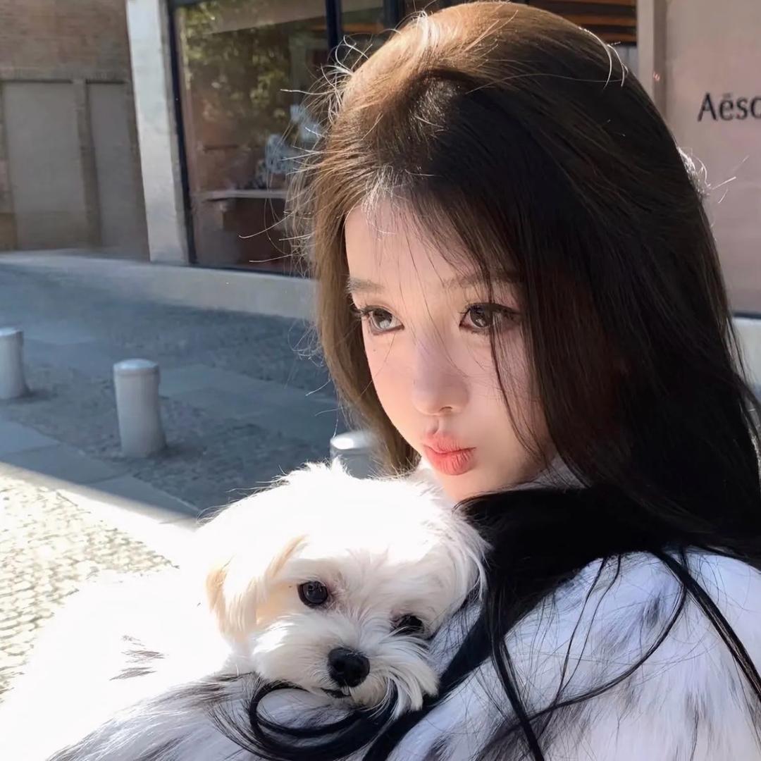 周口市飞安网络科技有限公司-小雅