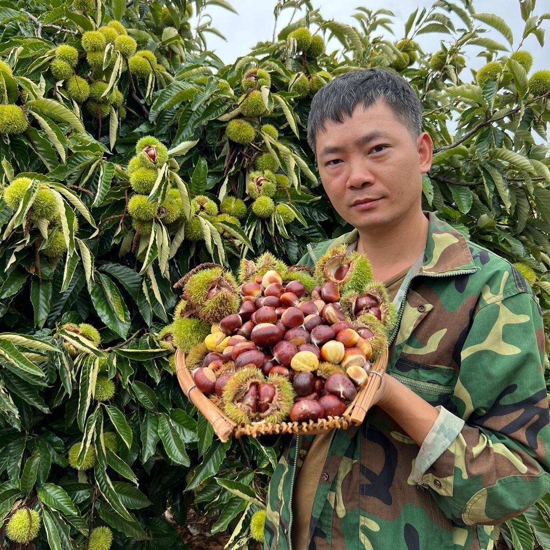 小百果园